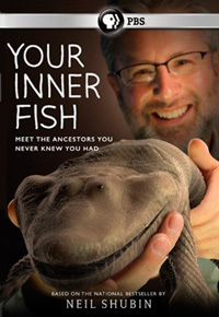 Внутренняя рыба / Your Inner Fish (2014)